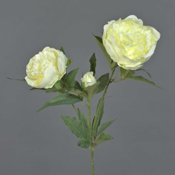 Peonia artificiale MISTI, crema, 70cm