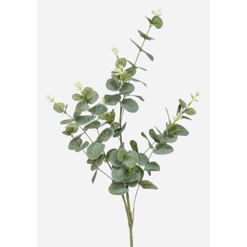 Ramo artificiale d'eucalipto DEREK, verde-grigio, 75cm