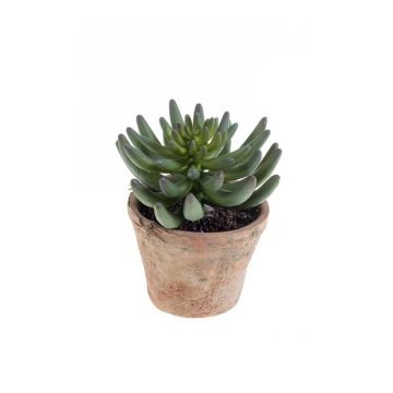 Sedum rupestre artificiale EROS in vaso di terracotta, verde, 15cm