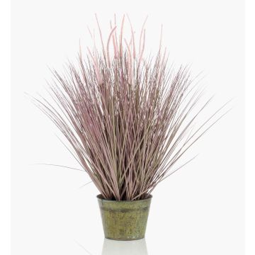 Pennisetum finto OVIDIO, pannocchie, vaso di zinco, verde, 100cm