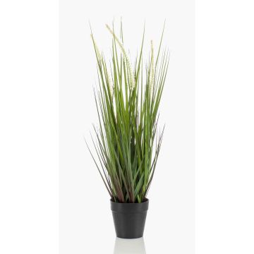 Erba di coda di volpe artificiale OTIS con pannocchie, verde, 55cm