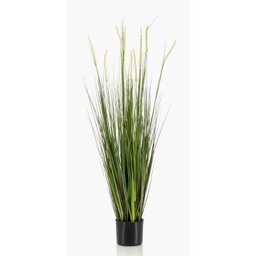 Erba di coda di volpe artificiale OTIS con pannocchie, verde, 120cm