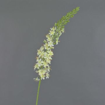 Fiore artificiale di candela del deserto AOMORI, crema, 105cm