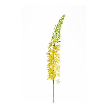 Fiore artificiale di candela del deserto AOMORI, giallo, 105cm