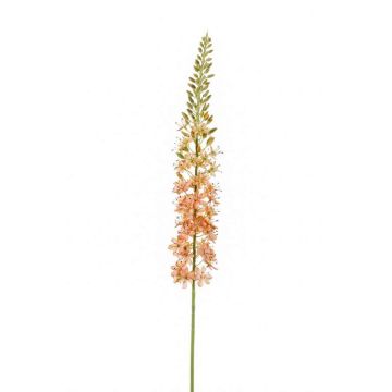 Fiore artificiale di candela del deserto AOMORI, rosa crema, 105cm