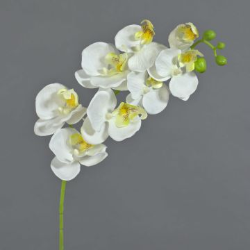 Ramo di orchidee phalaenopsis artificiale MINA, bianco, 70cm