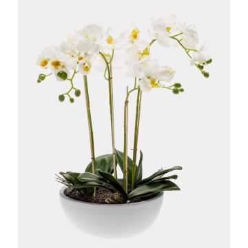 Orchidea phalaenopsis artificiale MINA in ceramica, bianco, 60cm Orchidea phalaenopsis artificiale MINA in ceramica, bianco, 60cm