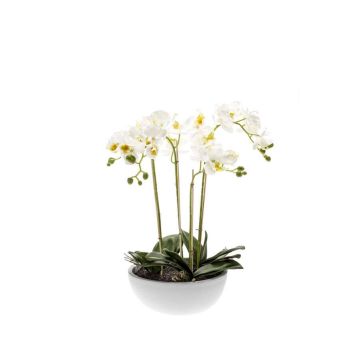 Orchidea phalaenopsis artificiale MINA in ceramica, bianco, 60cm Orchidea phalaenopsis artificiale MINA in ceramica, bianco, 60cm