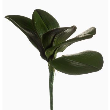 Foglie d'orchidea phalaenopsis artificiali NIUT, su stelo, verde, 25cm