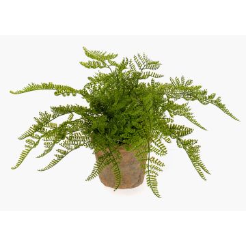 Felce femmina artificiale MELLEA in vaso di terracotta, verde, 25cm
