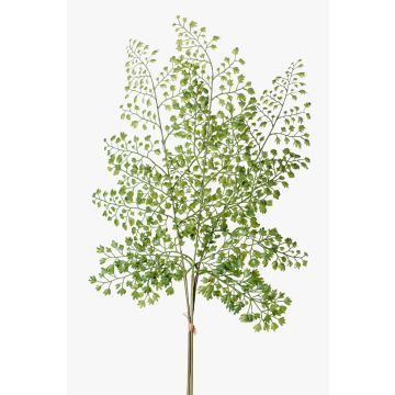 Ramo di felce di capelvenere in plastica HALIMA, verde, 60cm