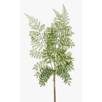 Ramo di felce polystichum in plastica HALIMA, verde, 60cm