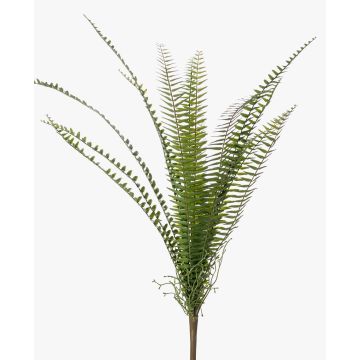 Felce spada artificiale GARIBALDI su stelo, verde, 60cm Felce spada artificiale GARIBALDI su stelo, verde, 60cm