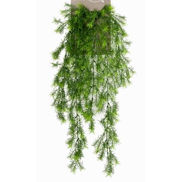 Asparagus sprengeri artificiale pensile COLE, su stelo, 75cm Asparagus sprengeri artificiale pensile COLE, su stelo, 75cm