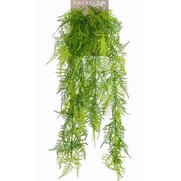 Asparagus plumosus artificiale pensile COLE, su stelo, 80cm Asparagus plumosus artificiale pensile COLE, su stelo, 80cm