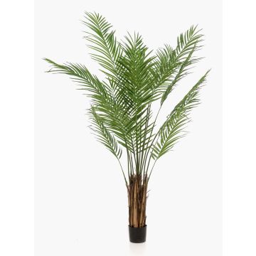 Palma areca artificiale CUZCO, 180cm