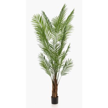 Palma areca artificiale CUZCO, 240cm