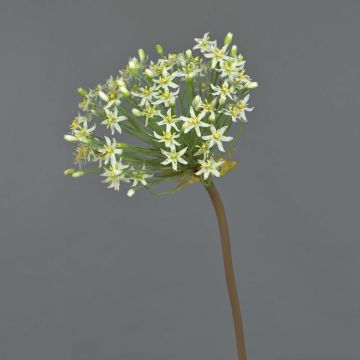 Allium artificiale BRAIS, bianco, 90 cm