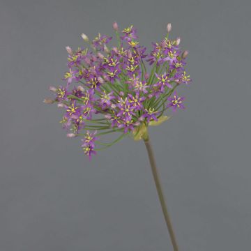 Allium artificiale BRAIS, viola, 90cm