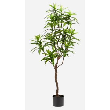 Albero artificiale di dracaena OSAKA, verde, 130cm Albero artificiale di dracaena OSAKA, verde, 130cm