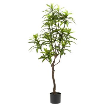 Albero artificiale di dracaena OSAKA, verde, 130cm