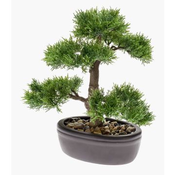 Cedro bonsai artificiale BERTOLT in ciotola, 30cm