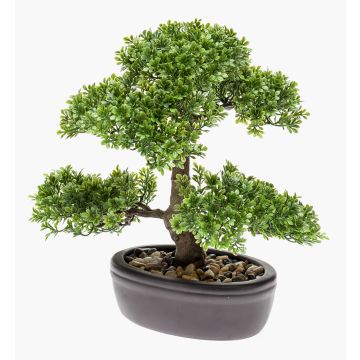Ficus bonsai artificiale HESPER in ciotola, 30cm