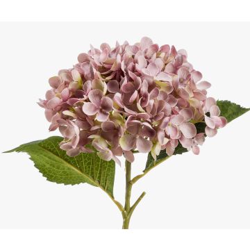 Ortensia artificiale EGIA, rosa, 50cm
