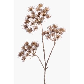 Pianta artificiale di heracleum BELMIRO, marrone, 100cm