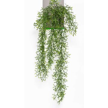 Cactus rhipsalis pilocarpa artificiale pendente PUEBLA su stelo, verde, 75cm Cactus rhipsalis pilocarpa artificiale pendente PUEBLA su stelo, verde, 75cm