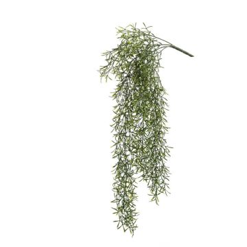 Cactus rhipsalis pilocarpa artificiale pendente PUEBLA su stelo, verde, 75cm