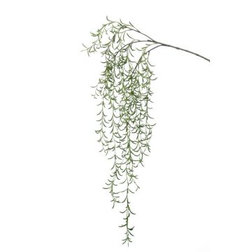 Ramo di cactus rhipsalis pilocarpa artificiale PUEBLA su stelo, verde, 120cm Ramo di cactus rhipsalis pilocarpa artificiale PUEBLA su stelo, verde, 120cm