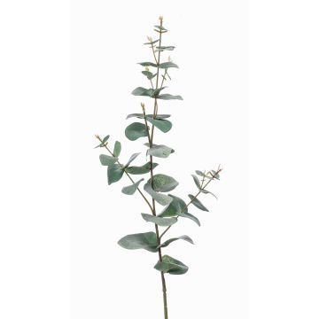 Ramo d'eucalipto in plastica CALLIOPE, grigio-verde, 70cm