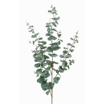 Ramo d'eucalipto in plastica CALLIOPE, verde-grigio, 115cm