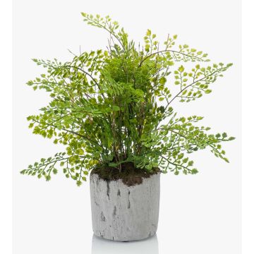 Felce di capelvenere in plastica SANTINA in vaso di cemento, verde, 30cm