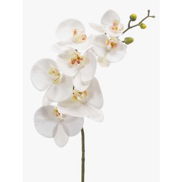 Ramo di orchidee phalaenopsis artificiale NEITH, bianco, 85cm