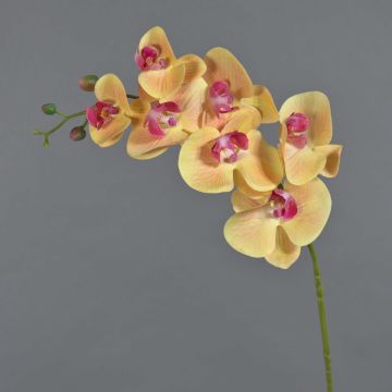 Ramo di orchidee phalaenopsis artificiale NEITH, fucsia-arancione, 85cm Ramo di orchidee phalaenopsis artificiale NEITH, fucsia-arancione, 85cm