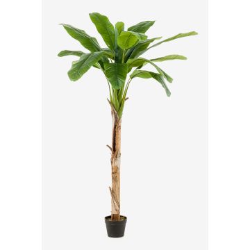 Banano artificiale BAGHEERA, 180cm Banano artificiale BAGHEERA, 180cm