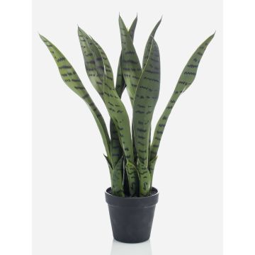 Pianta artificiale di sansevieria POLIANA, verde, 50cm