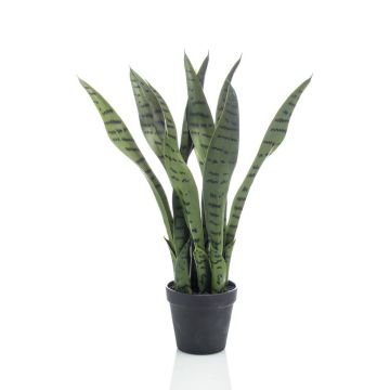 Pianta artificiale di sansevieria POLIANA, verde, 50cm
