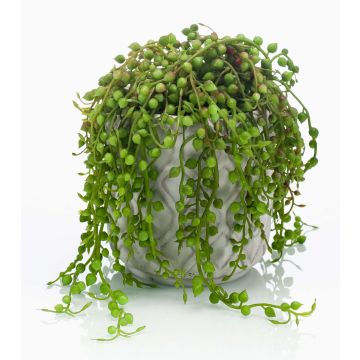 Pianta artificiale di senecio PIURA in vaso di cemento, verde, 15cm Pianta artificiale di senecio PIURA in vaso di cemento, verde, 15cm