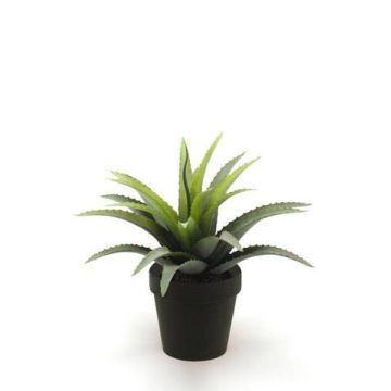Agave di plastica SEDA, verde, 20cm, Ø25cm