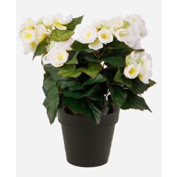 Begonia artificiale DOBRADA, crema, 30cm Begonia artificiale DOBRADA, crema, 30cm