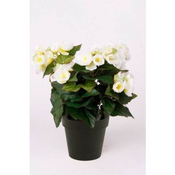 Begonia artificiale DOBRADA, crema, 30cm