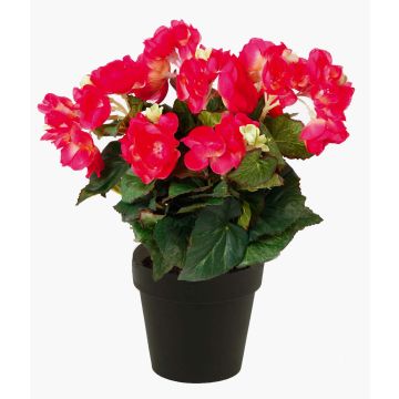 Begonia artificiale DOBRADA, fucsia, 30cm Begonia artificiale DOBRADA, fucsia, 30cm