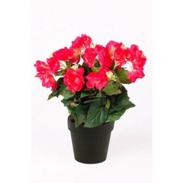 Begonia artificiale DOBRADA, fucsia, 30cm