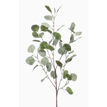 Ramo d'eucalipto artificiale COLTON, verde-grigio, 85cm