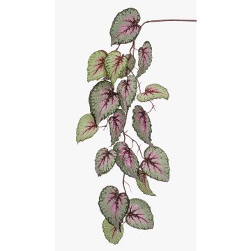 Ramo di begonie rex artificiale MEIRA, verde-rosa, 110cm