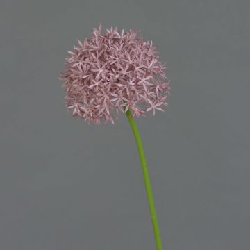 Allium artificiale ARNAU, viola, 60cm