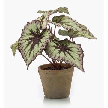 Begonia rex artificiale MEIRA in vaso di terracotta, verde-viola, 25cm